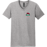 Wash U Softstyle V-Neck T-Shirt