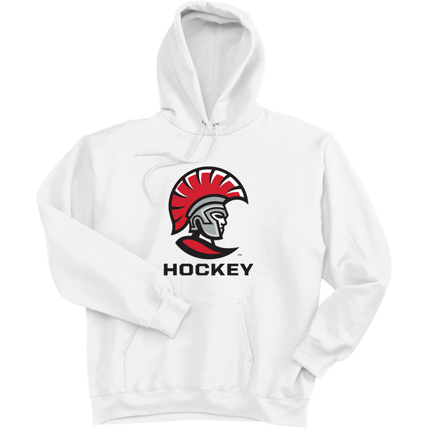 University of Tampa Ultimate Cotton - Pullover Hooded Sweatshirt